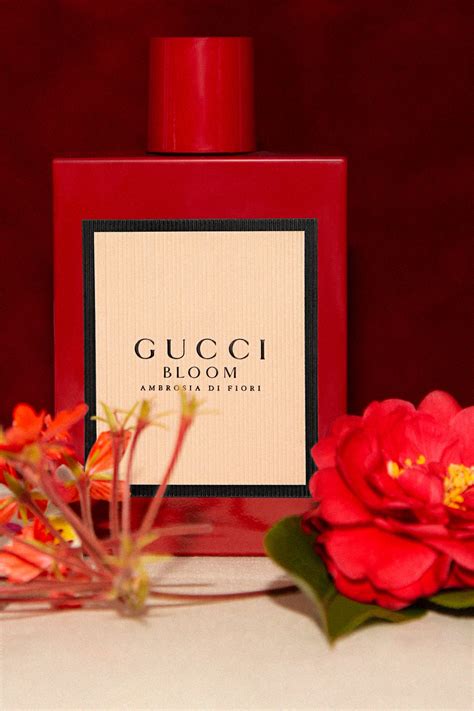 gucci bloom rood